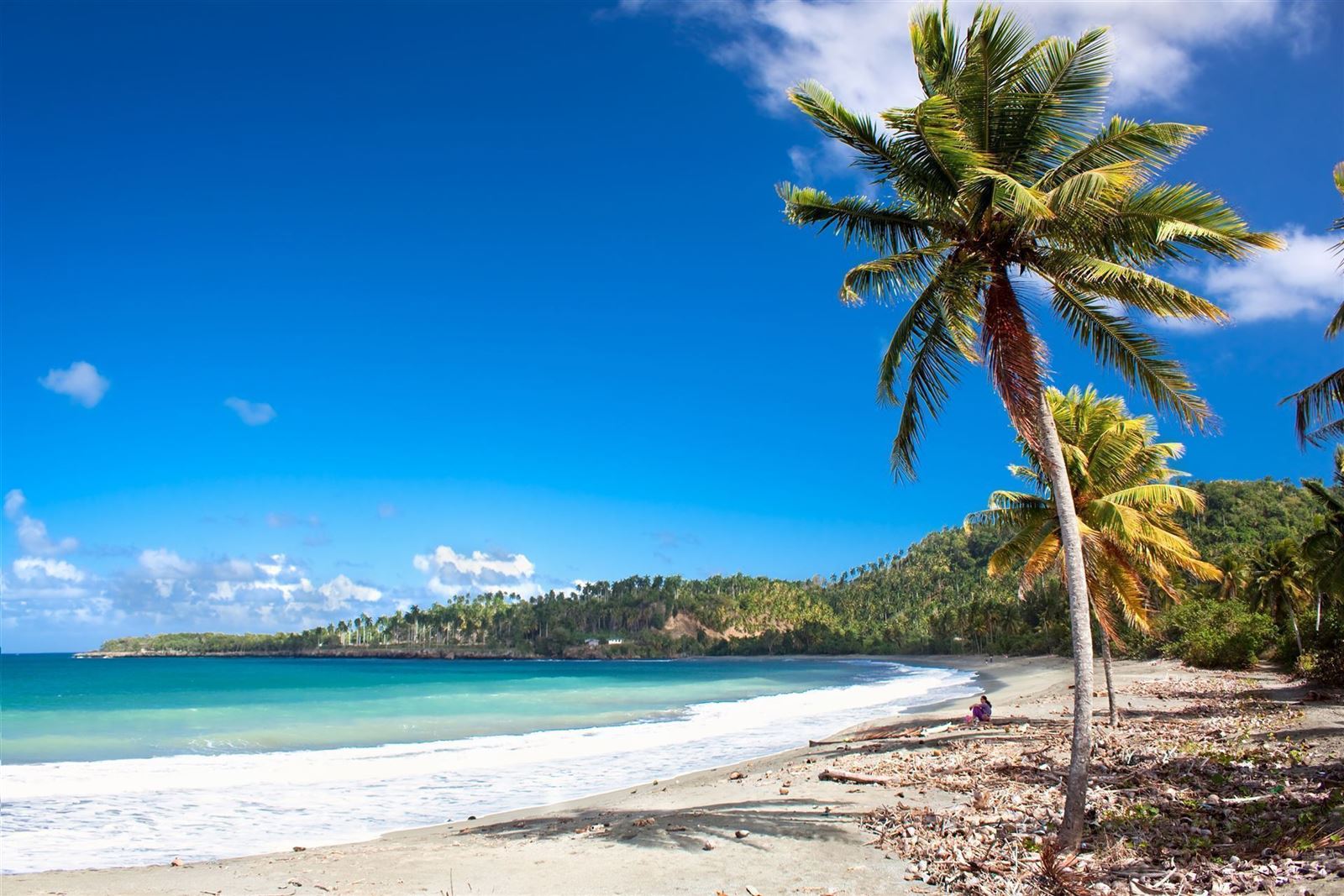 Beach mit Palmen